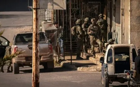 Fuerzas israelíes arrestan a dos jóvenes en una zona rural de Daraa