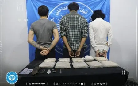 Las Fuerzas de Seguridad Interna detienen a miembros de una red de tráfico de drogas