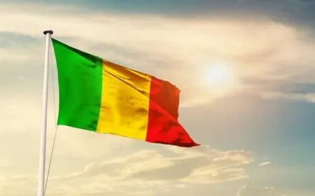 Francia insta a sus ciudadanos a abandonar Malí