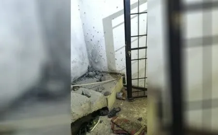 Ataque con granadas contra Karm al-Zaytoun en Homs