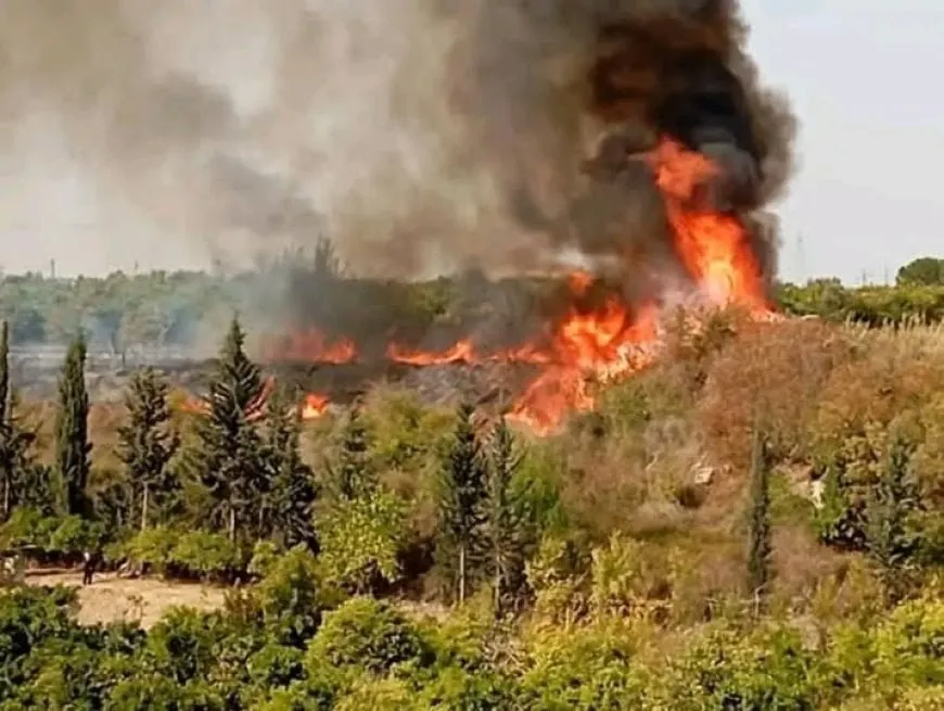 Fuego se desata en la autopista Al-Hanadi de Latakia y amenaza la vegetación cercana