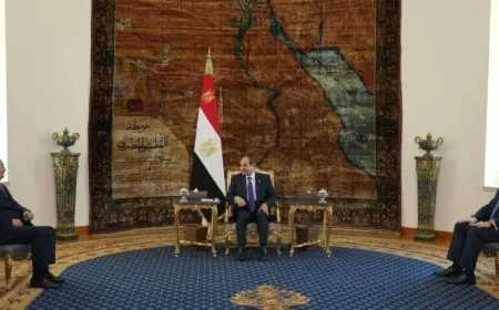 Al-Sisi exige la retirada de las fuerzas extranjeras y de las milicias de Libia