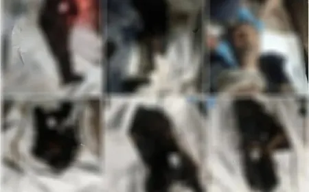 Revelan nuevas fosas comunes en Suweyda con decenas de cuerpos