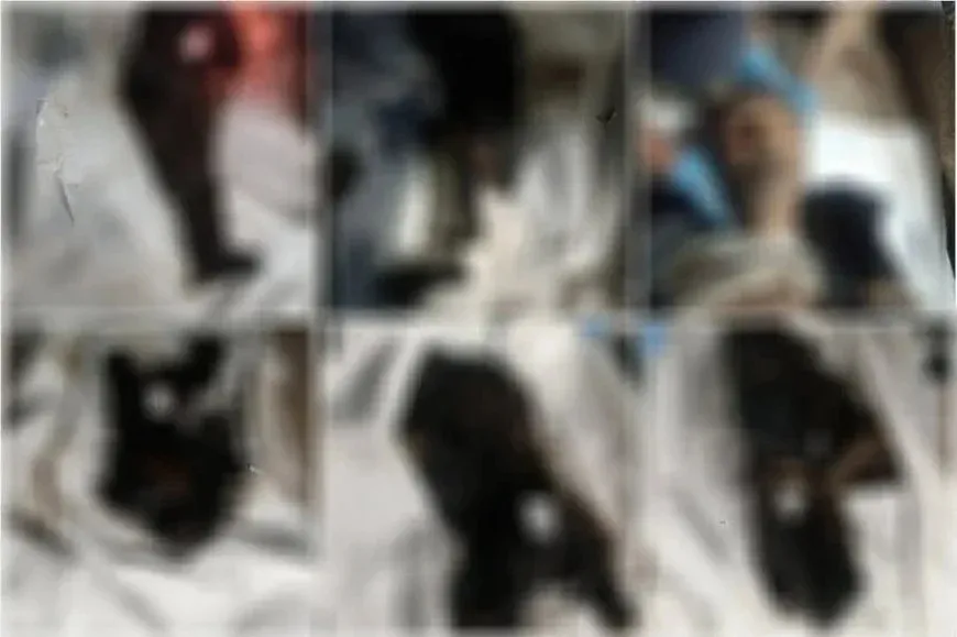 Revelan nuevas fosas comunes en Suweyda con decenas de cuerpos