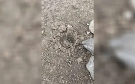 Mercenarios del gobierno interino atacan dos pueblos al sur de Girkê Legê
