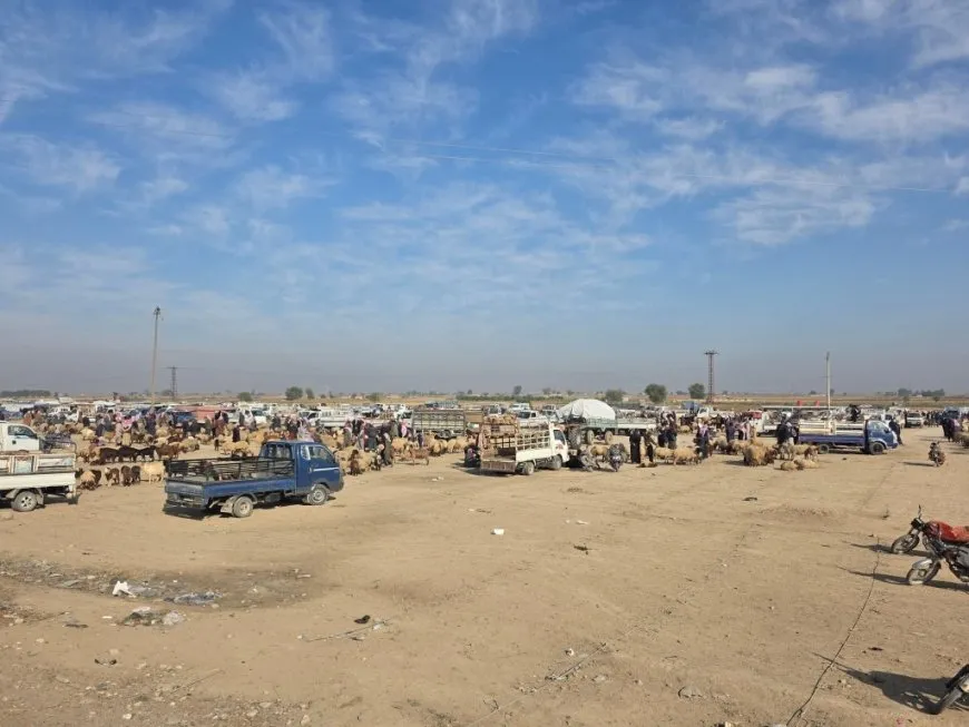 Un año después de la liberación, la estabilidad y el regreso de los servicios en Al-Sabkha
