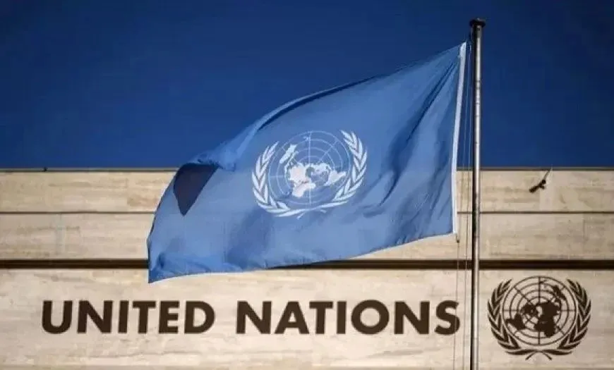 La ONU acoge con satisfacción el acuerdo entre las SDF y el Gobierno de Transición