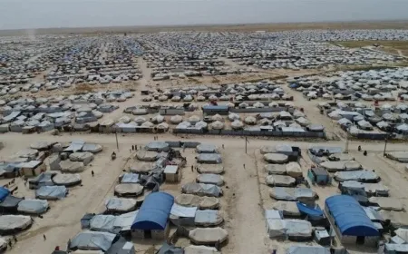 Vaciar el campamento al-Hol; de contener la amenaza a propagarlo