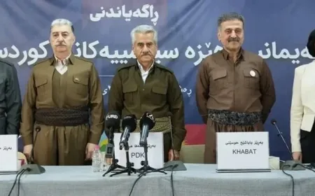 Investigador político: la fase delicada en Irán requiere una alianza kurda consciente