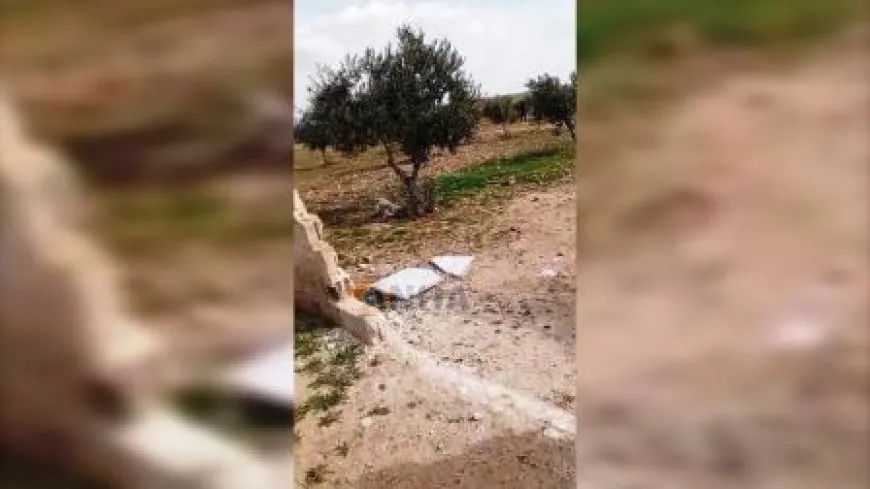 Facciones provisionales del gobierno saquean y destruyen propiedades civiles en el campo de Kobani