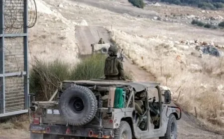 El ejército israelí arresta a dos jóvenes en el campo de Quneitra