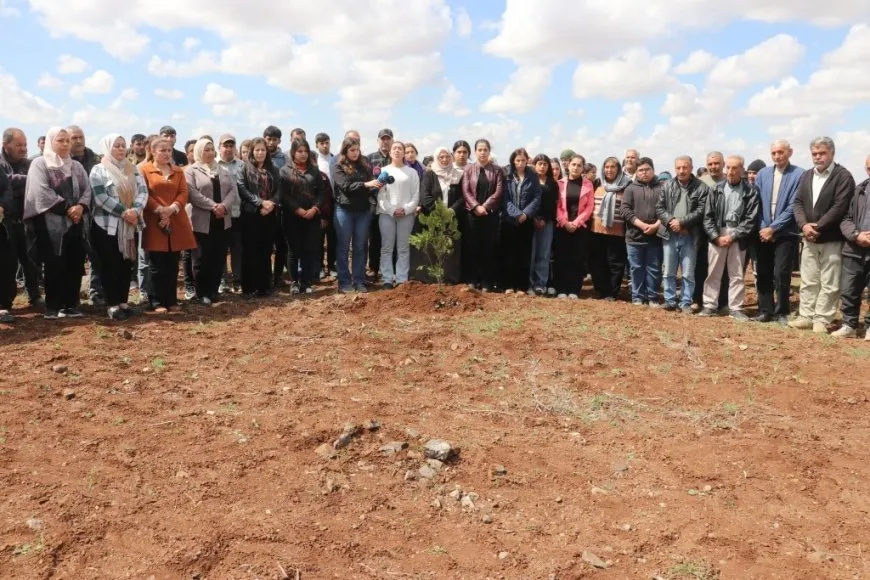 Plantan 500 árboles en la colina Mishtanur con motivo del aniversario de líder Abdullah Ocalan