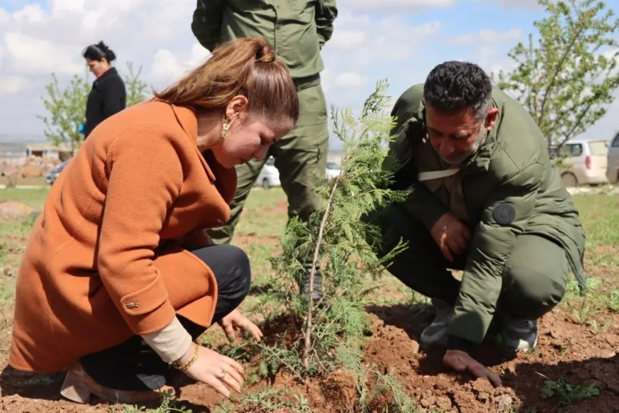 Plantan 500 árboles en la colina Mishtanur con motivo del aniversario de líder Abdullah Ocalan