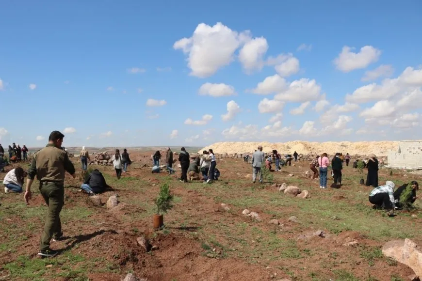 Plantan 500 árboles en la colina Mishtanur con motivo del aniversario de líder Abdullah Ocalan