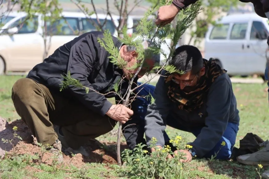 Plantan 500 árboles en la colina Mishtanur con motivo del aniversario de líder Abdullah Ocalan