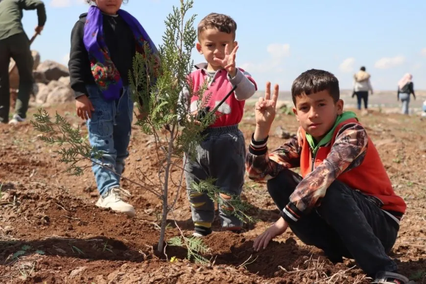 Plantan 500 árboles en la colina Mishtanur con motivo del aniversario de líder Abdullah Ocalan
