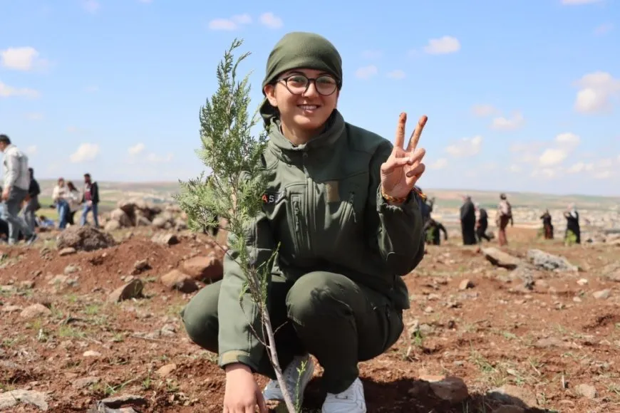 Plantan 500 árboles en la colina Mishtanur con motivo del aniversario de líder Abdullah Ocalan