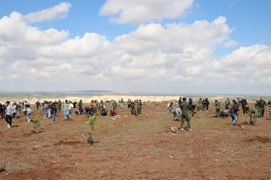 Plantan 500 árboles en la colina Mishtanur con motivo del aniversario de líder Abdullah Ocalan