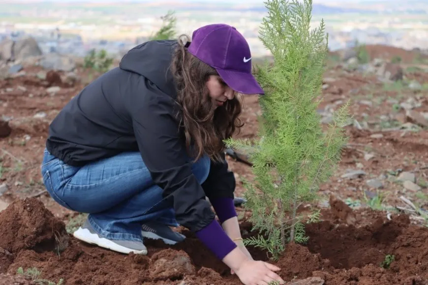 Plantan 500 árboles en la colina Mishtanur con motivo del aniversario de líder Abdullah Ocalan