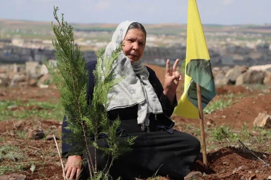 Plantan 500 árboles en la colina Mishtanur con motivo del aniversario de líder Abdullah Ocalan