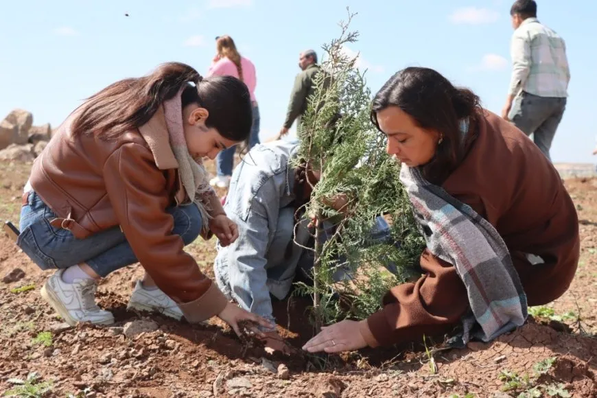 Plantan 500 árboles en la colina Mishtanur con motivo del aniversario de líder Abdullah Ocalan
