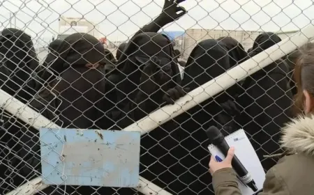 Acusan a mujeres australianas vinculadas a ISIS de “esclavizar a una mujer” en Siria