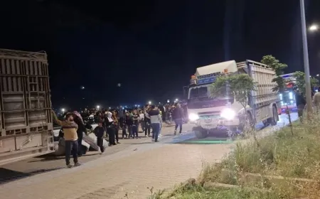 El quinto grupo de desplazados internos de Afrin regresa a casa