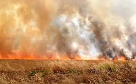 5 incendios destruyen tierras agrícolas al sur de Hasakah
