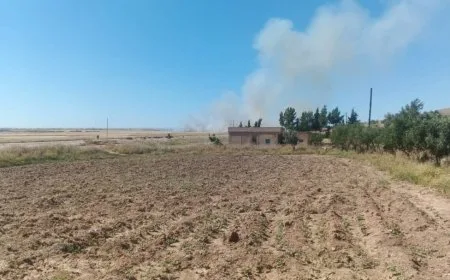 Un incendio afecta campos de cebada y trigo en Tel Tamr