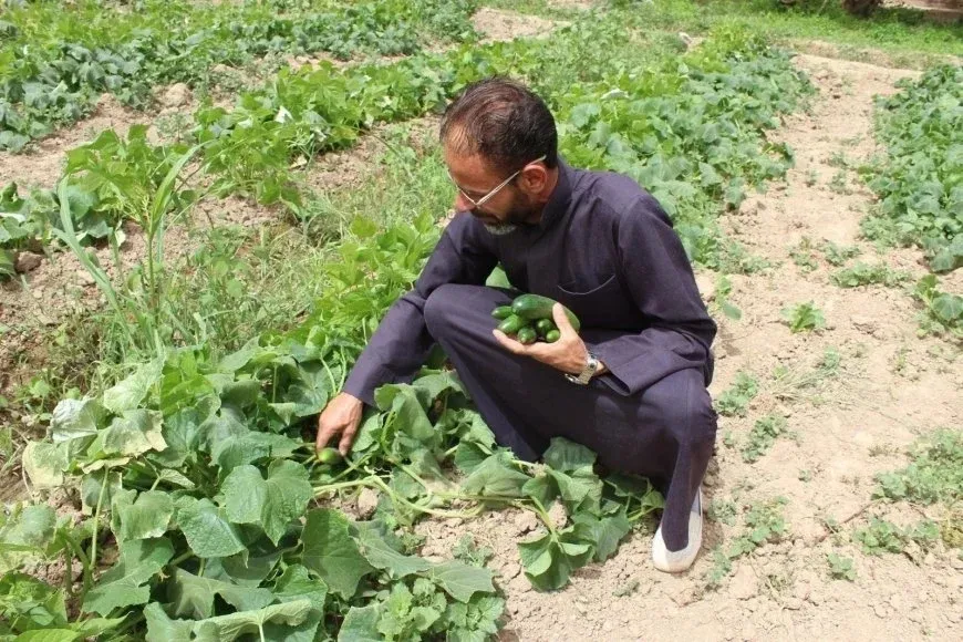 La FAO lanza un proyecto de 5 millones de dólares para reforzar la seguridad alimentaria en el noreste de Siria