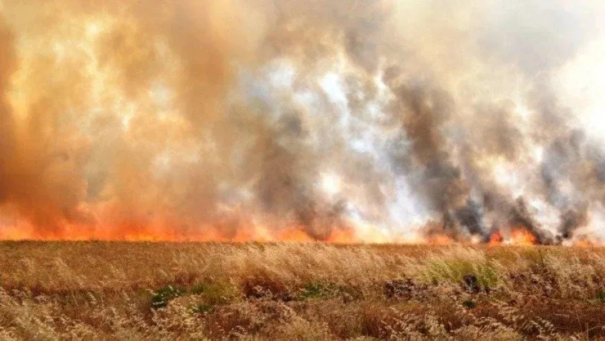 5 incendios destruyen tierras agrícolas al sur de Hasakah