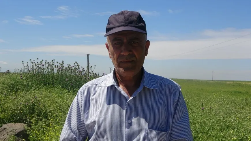 Agricultores: el precio del trigo no es adecuado para los agricultores
