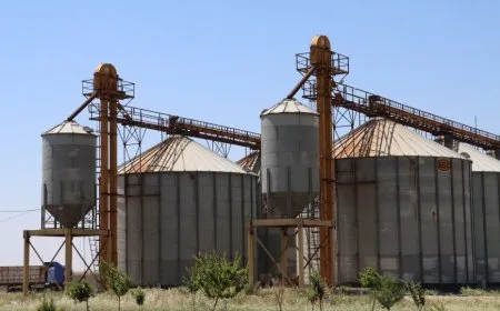 Hasaka se prepara para la cosecha con 21 centros de acopio de trigo y registro electrónico obligatorio
