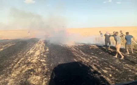 Un incendio arrasa unas 200 dunums de cultivos de trigo en la zona rural de Hasaka
