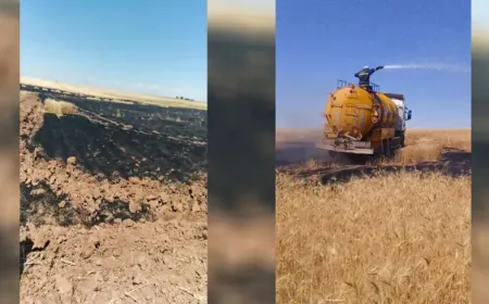 Un incendio destruye 20 dunums de cultivos de trigo en Dirbasiyah