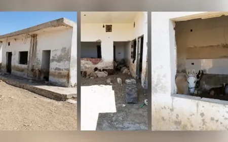 Un hombre desplazado encuentra su casa convertida en un establo de ganado