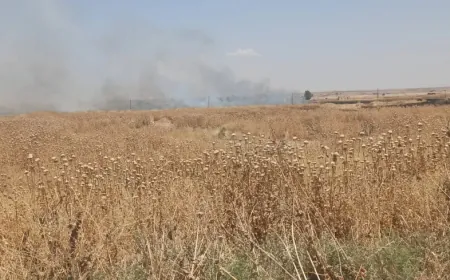 Incendios afectan a campos agrícolas en Zirgan y Tel Tamr
