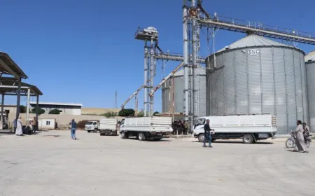 Los agricultores de Al-Hasakah se quejan de retrasos en las entregas de trigo; pérdidas crecientes debido a la espera