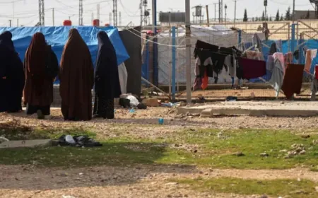 Australia autoriza el regreso de la última australiana retenida en Roj Camp