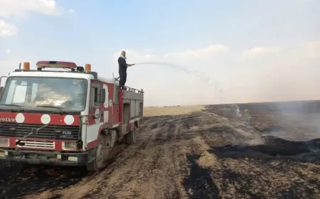 Un incendio arrasa cerca de 200 dunams de trigo en Hasaka