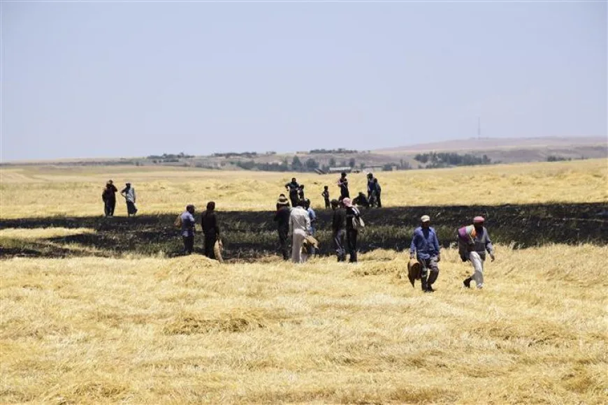 Apagan incendios en tierras agrícolas de Tel Tamr