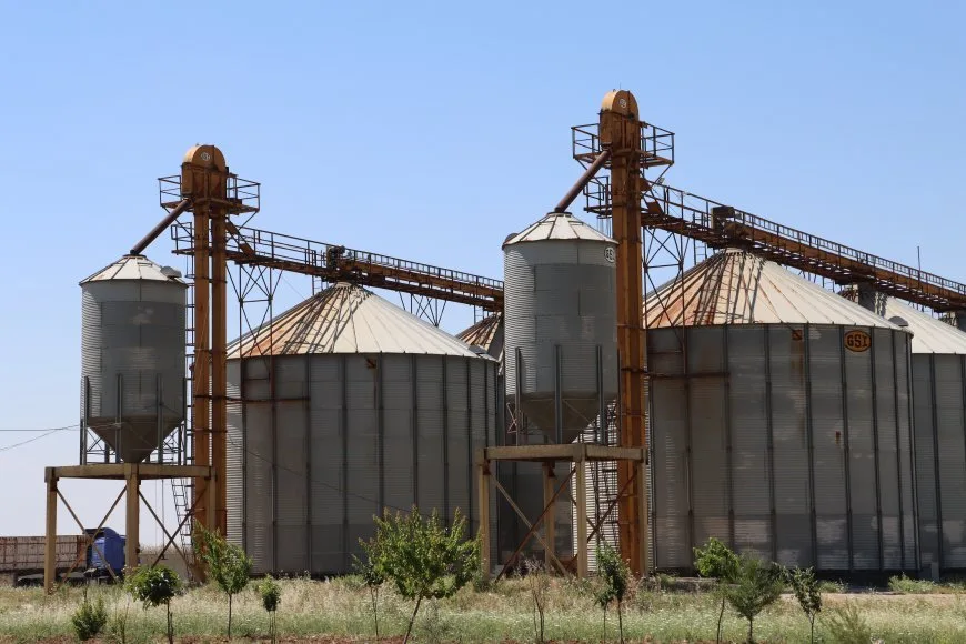Hasaka se prepara para la cosecha con 21 centros de acopio de trigo y registro electrónico obligatorio