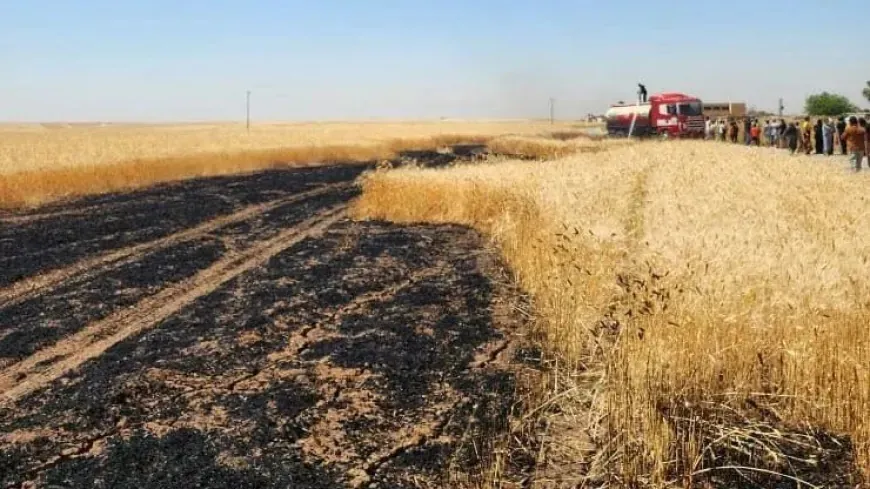 Los bomberos controlan un incendio en un campo de trigo al norte de Çilaxa Los equipos de emergencia del
