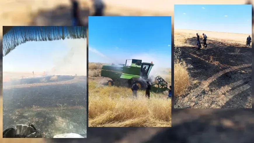 Un incendio afecta un campo de trigo en Tirbespiyê