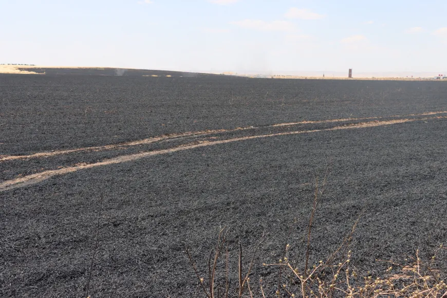 Varios incendios afectan Qamishlo, Hasaka, Dirbasiyah y Zirgan