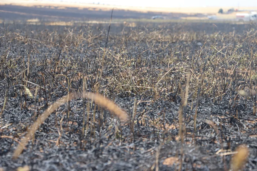 Varios incendios afectan Qamishlo, Hasaka, Dirbasiyah y Zirgan