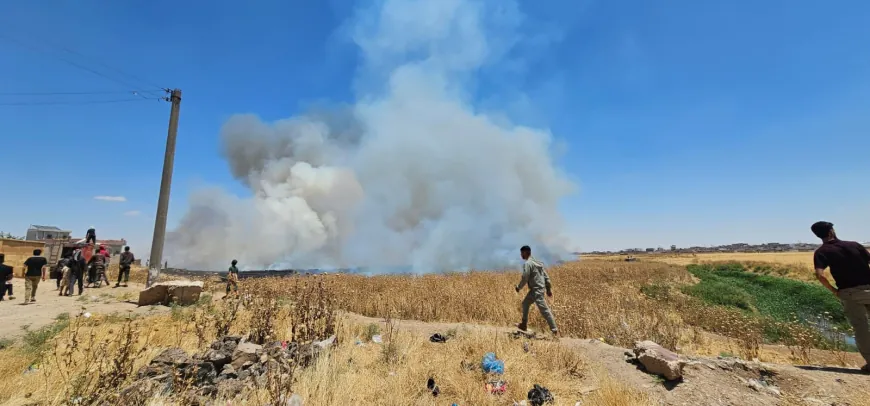 Varios incendios afectan Qamishlo, Hasaka, Dirbasiyah y Zirgan