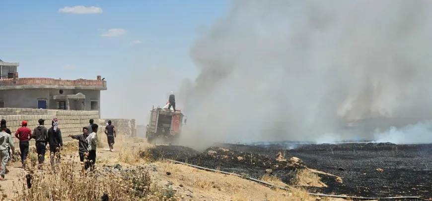 Varios incendios afectan Qamishlo, Hasaka, Dirbasiyah y Zirgan
