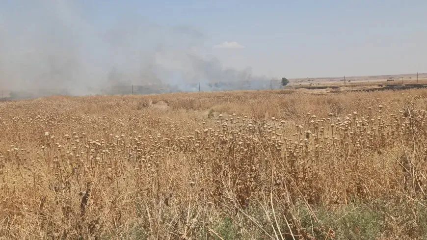 Incendios afectan a campos agrícolas en Zirgan y Tel Tamr