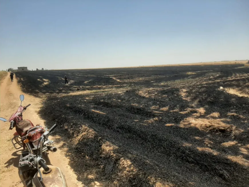 Arden 60 dunams de trigo durante la cosecha en Dirbesiyê